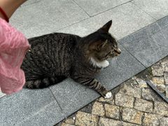 -金海华·华宴江南(斜塘店)