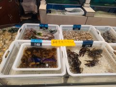 -老虎滩船说·海胆水饺·大连海鲜(老虎滩店)