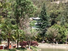 -黑龙潭公园