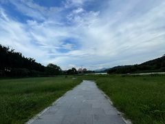 -风云岭森林公园