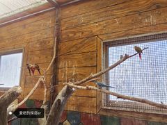 -西霞口神雕山野生动物世界