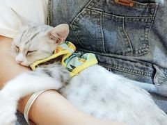 -万小咖.猫咖(中山路天虹店)