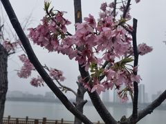-艾溪湖湿地公园