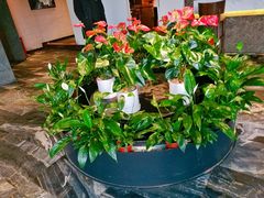 -大鸭梨烤鸭(枣园店)