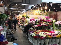 -双季花艺园艺市场(浦东店)