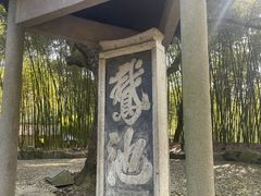 -兰亭风景区