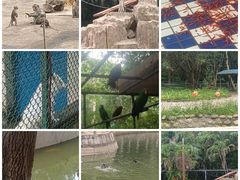 -广东茂名森林公园
