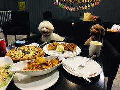 -百好乐宠物友好餐厅(朝外大街店)