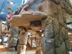 -卡通尼·Safari非洲探索乐园·生日会(金桥国际商业广场店)