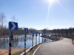 -东郊湿地公园