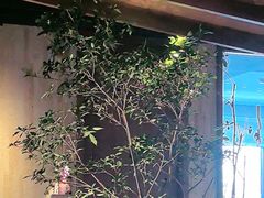 -沅江水·湖南家宴(南村万博长隆商圈店)