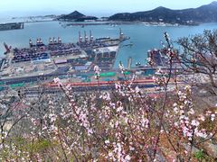 -海上云台山景区