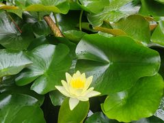 -都江堰普照寺