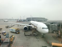 -新加坡航空公司(ION)