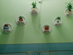 -金柱大盘鸡(跃进街店)