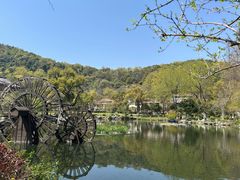 -杭州雅谷泉山庄酒店-餐厅