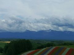 -富田农场