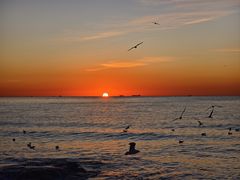 -老虎石海上公园