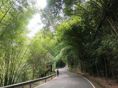 -凤栖山