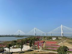 -芒洲湿地公园