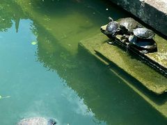 -宁波市保国寺古建筑博物馆