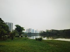 -飞来湖湿地公园