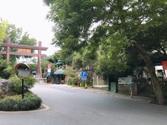 -龙井村