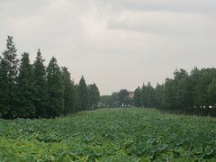 -昆承湖酒家·本帮农家菜