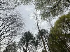 -秀水公园