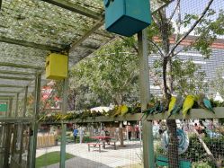 -萌宠亲子动物乐园(槐房万达店)