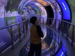 -房山世界地质公园博物馆