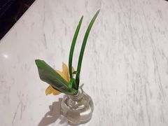 -香榭大堂吧 Champs-Elysées Bar(上海南新雅皇冠假日酒店)