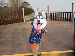 -不觉晓CAMPING(上海迪士尼营地店)