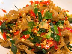 鸭掌筋-壹盏灯(惠农店)