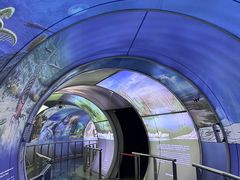 -房山世界地质公园博物馆