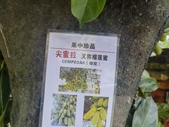 -伊萨娜印尼餐馆