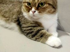 -小时光咖啡馆(开森度假森林店)