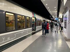 -戴高乐机场火车站