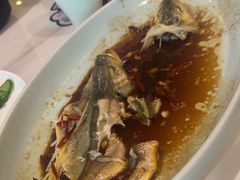 -船歌·鱼水饺青岛菜(合肥路永旺店)