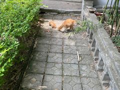 -四门塔风景区