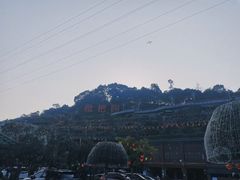 -枇杷园食为鲜火锅(南山店)