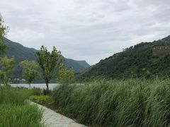 -后柳水乡