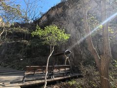 -大岭沟猕猴桃谷风景区