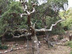 -草庵摩尼教遗址公园