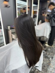 -藤野造型烫染优质