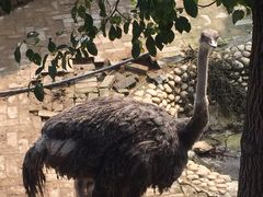 -武汉紫薇都市田园