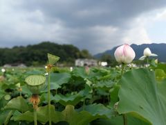 -古田会议纪念馆