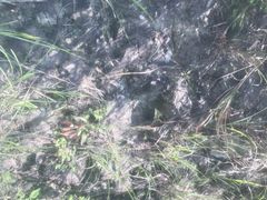 -祁门牯牛降观音堂风景区