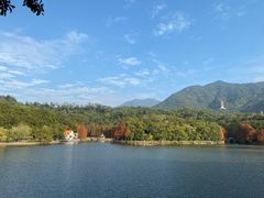 -深圳仙湖植物园