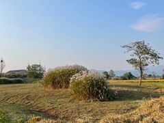 -良渚古城遗址公园